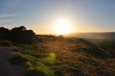 Sonnenaufgang über der Steppe