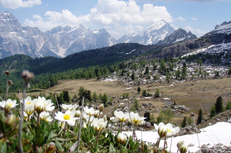 Sorapiss + Adamello