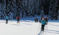 Gruppe vor Winterwald Silvester 2019