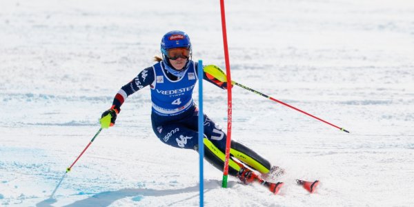 Shiffrin - Christophe Pallot Agence Zoom