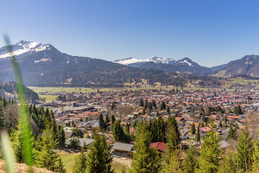 Wallrafweg im April