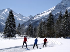 Langlauf im Stillachtal