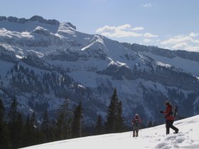 Schneeschuhwandern im Rohrmoos
