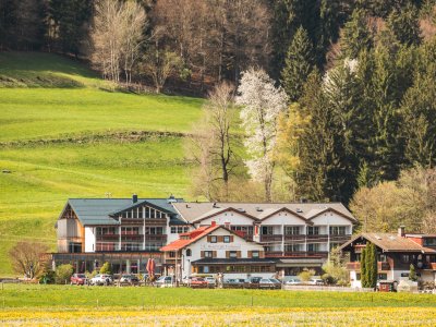 Frohsinn im Löwenzahnmeer