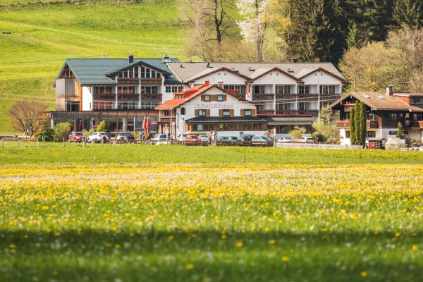 Frohsinn im Löwenzahnmeer
