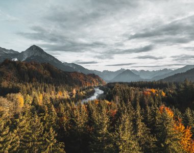 Herbst in Fischen