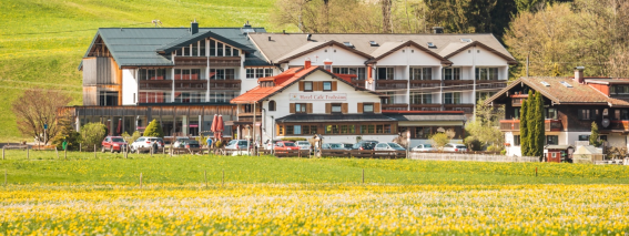 Blühende Wiesen ums Hotel