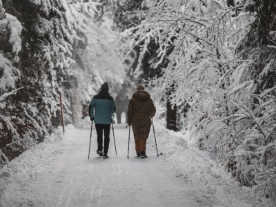 Zwei Personen wandern mit Stöcken durch einen schneebedeckten Wald an einem kalten Wintertag. Winterwanderung im verschneiten Wald