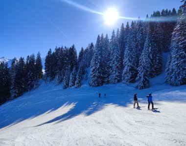 Skifahrer genießen einen sonnigen Tag in einem verschneiten Gebirge mit hohen Tannen und blauen Himmel.