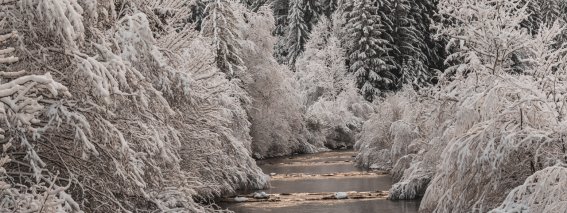 Eine ruhige Winterlandschaft mit schneebedecktem Fluss, umgeben von Bäumen und Berge
