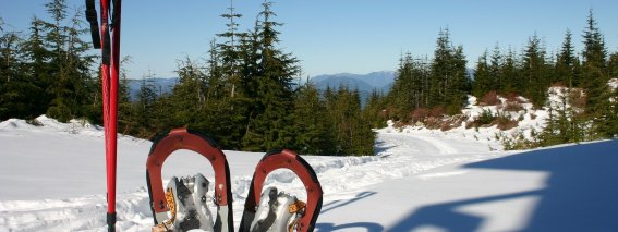 Schneeschuhwanderung