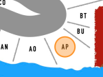 Stellplatz AP