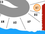 Stellplatz BT