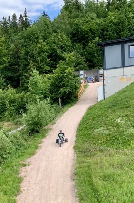 Wurzelrudi Sommer 36