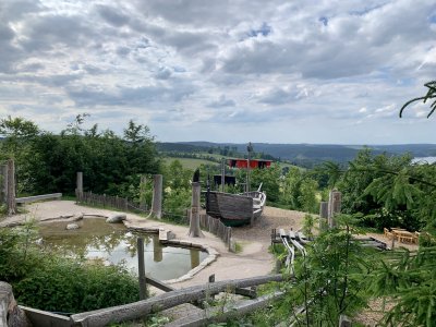 Wurzelrudi Sommer 35