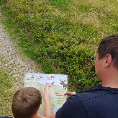 Wurzelrudi Schatzsuche 3