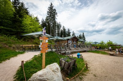Adleralm Wurzelrudis Erlebniswelt
