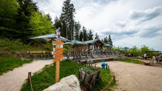 Adleralm Wurzelrudis Erlebniswelt