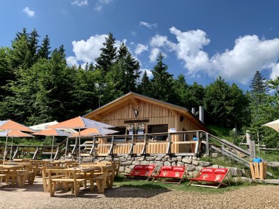 Wurzelrudi Adleralm