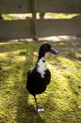 164-IMG 4628
