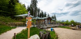 Menschen sitzen an Tischen und genießen Essen und Trinken in der Nähe einer Hütte im Wald.
