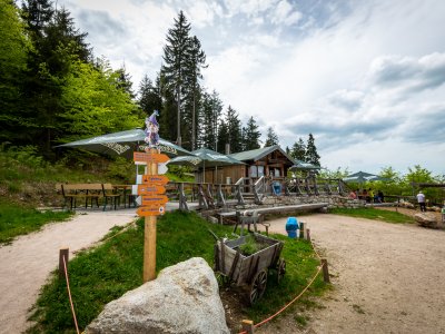 Menschen sitzen an Tischen und genießen Essen und Trinken in der Nähe einer Hütte im Wald.