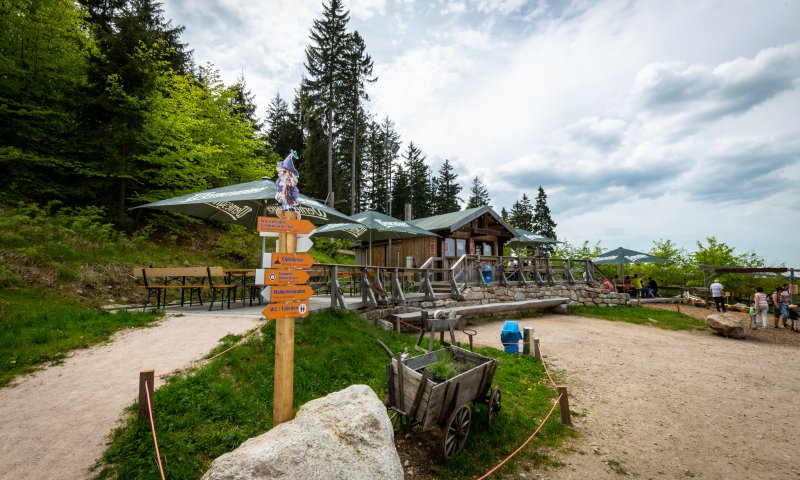 Menschen sitzen an Tischen und genießen Essen und Trinken in der Nähe einer Hütte im Wald.