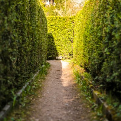 Wurzelrudi Irrgarten&Kletterwelt 9 1