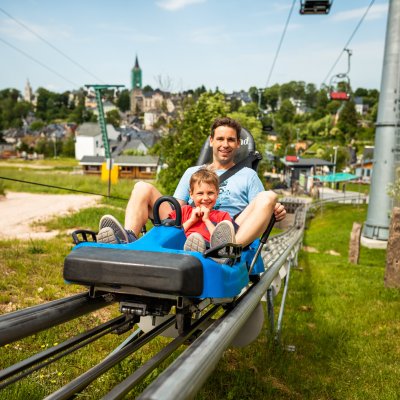 Ein Vater und sein Sohn haben Spaß auf der Sommerrodelbahn. Sie genießen die Fahrt in der Natur an einem sonnigen Tag.