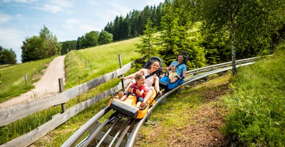 Familienausflug auf der Sommerrodelbahn in der Natur Eine Familie fährt mit einem Rodel auf der Sommerrodelbahn im Freien. Es ist ein sonniger Tag im Grünen.