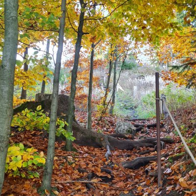 Blick auf Eibenstock Herbst©Ch.Damm01