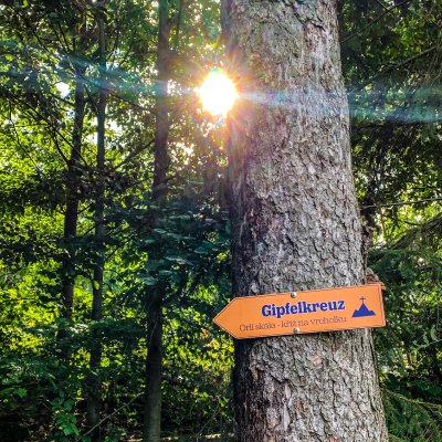 Wandern (5)