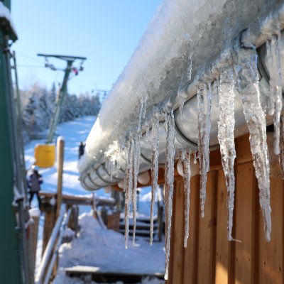 Wurzelrudi Winter