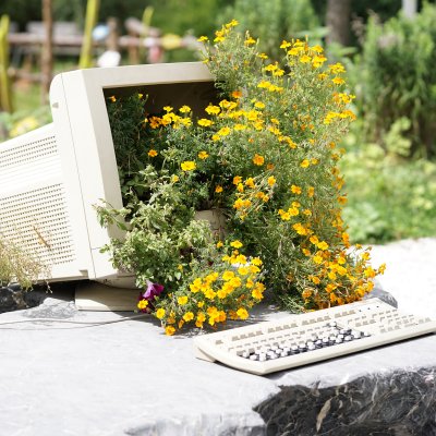 Ein alter Computer steht im Garten und hat Blumen und Pflanzen. Die Pflanzen wachsen aus dem Monitor und der Tastatur.