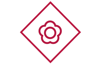 Zukunftsbild Oberstdorf Icons OekointelligentesNaturdorf