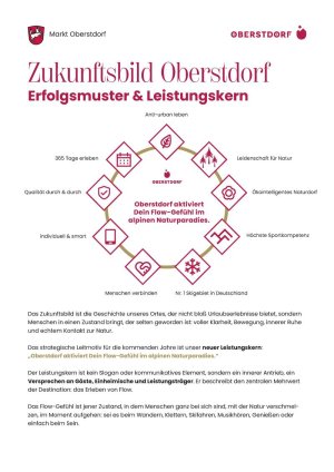 Zukunftsbild Erfolgsmuster und Flow